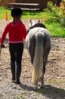 Agreement to Share a Horse or Pony